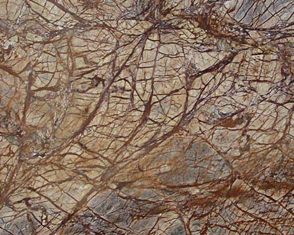 rain-forest-brown-marble-stone-1942815